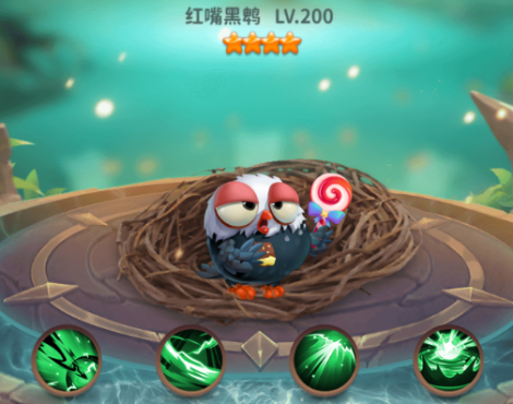 《小鳥(niǎo)愛(ài)飛翔》萌寵圖鑒丨紅嘴黑鶚