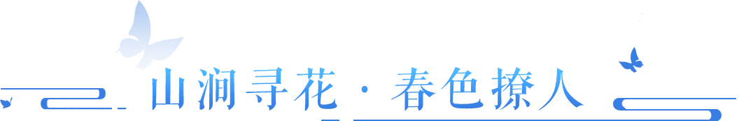 時裝也能開發(fā)出逆天“新詞條”？