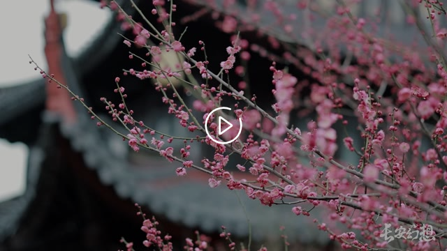 《長安幻想》短劇 “聽話一點…姐姐不吃人”